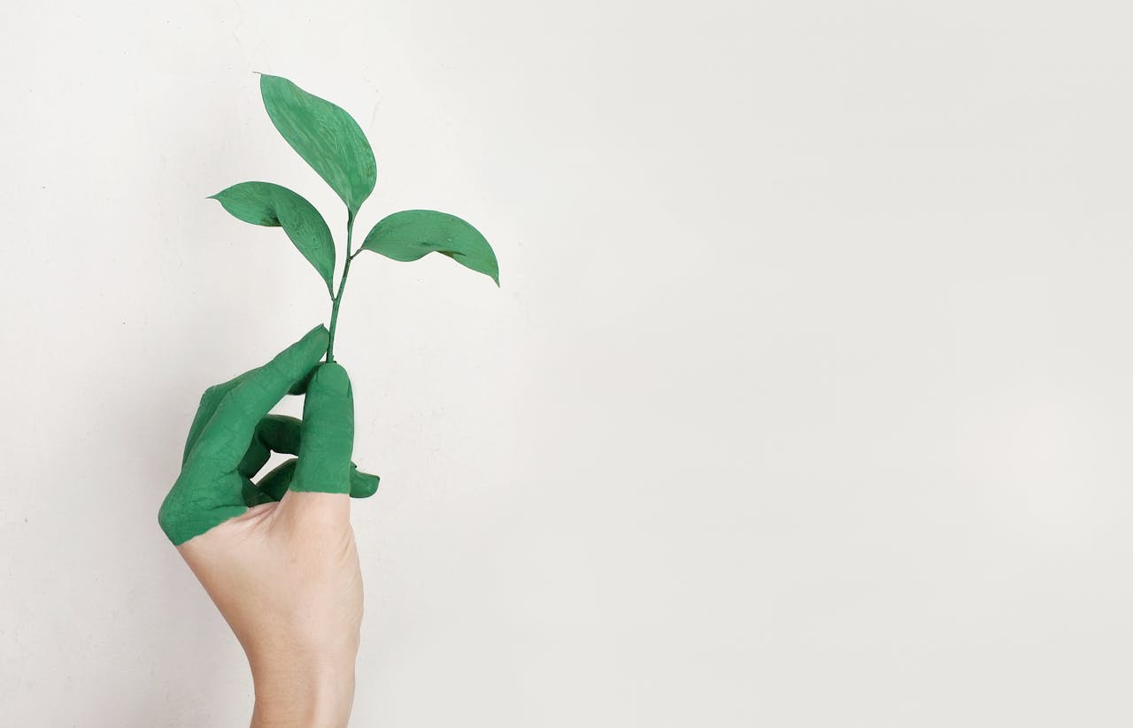 Una mano pintada de verde medio que sostiene una planta verde que nos representa defendiendo la sostenibilidad en SI Sostenibilidad